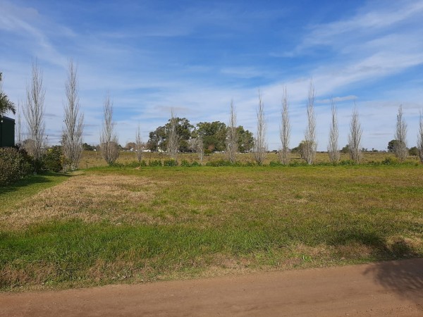 VENDO HERMOSO TERRENO DE 600 M2!!