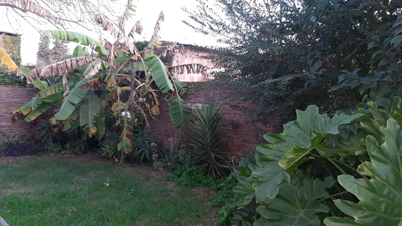 Foto Casa en Venta en Villa Elisa, Entre Rios - pix97112324 - BienesOnLine