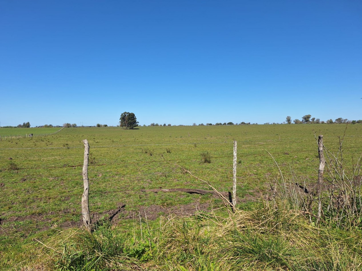 VENDO PARCELA DE 3 HECTAREAS!!