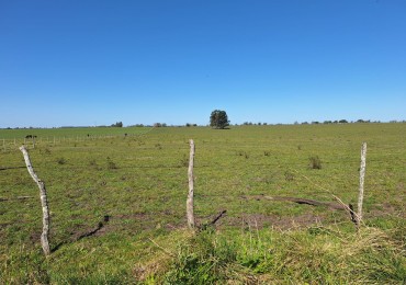 VENDO PARCELA DE 3 HECTAREAS!!