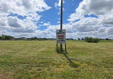 VENDO TERRENOS EN VILLA ELISA!!